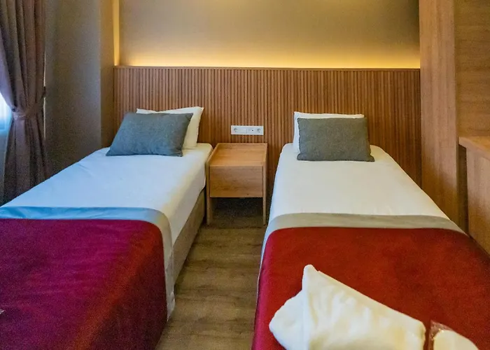 ديانا فندق 2*